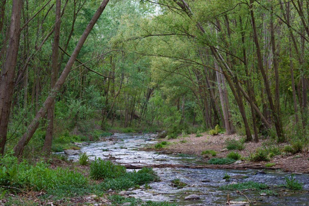 El Refugio Ξενοδοχείο Pinos Genil Εξωτερικό φωτογραφία